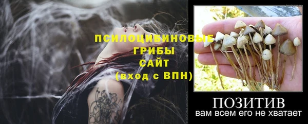 a pvp Балахна