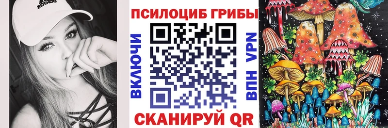 Галлюциногенные грибы мицелий  OMG вход  Полесск 